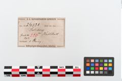 Etiketten zu Bronzegehänge (NHMW-PRAE-024338)